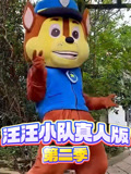 超威汪汪小队真人