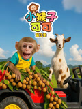 小猴子可可3