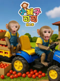 小猴子可可2
