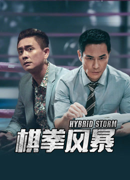 棋拳风暴粤语版