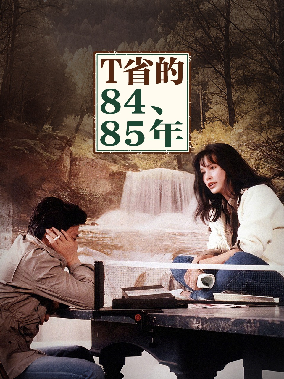 T省的8485年