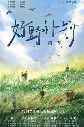 好野计划1