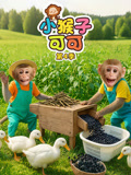 小猴子可可4